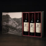 Personalized printed bottle carriers – eco-friendly custom 4-pack & 6-pack drink carriers with reinforced handle for secure transport