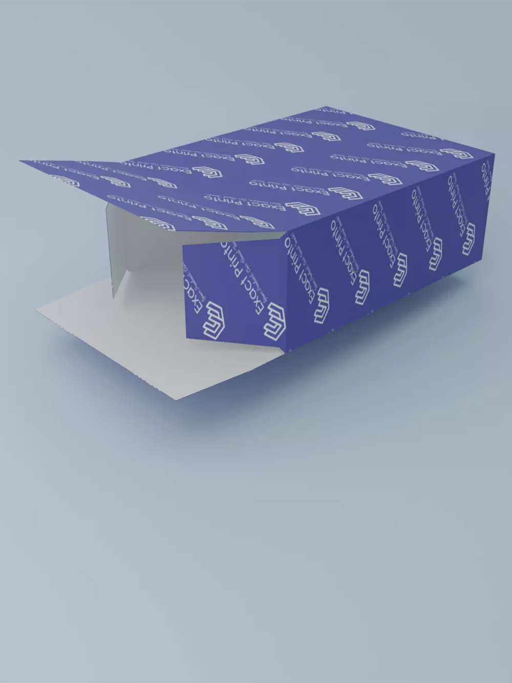 Slide 5