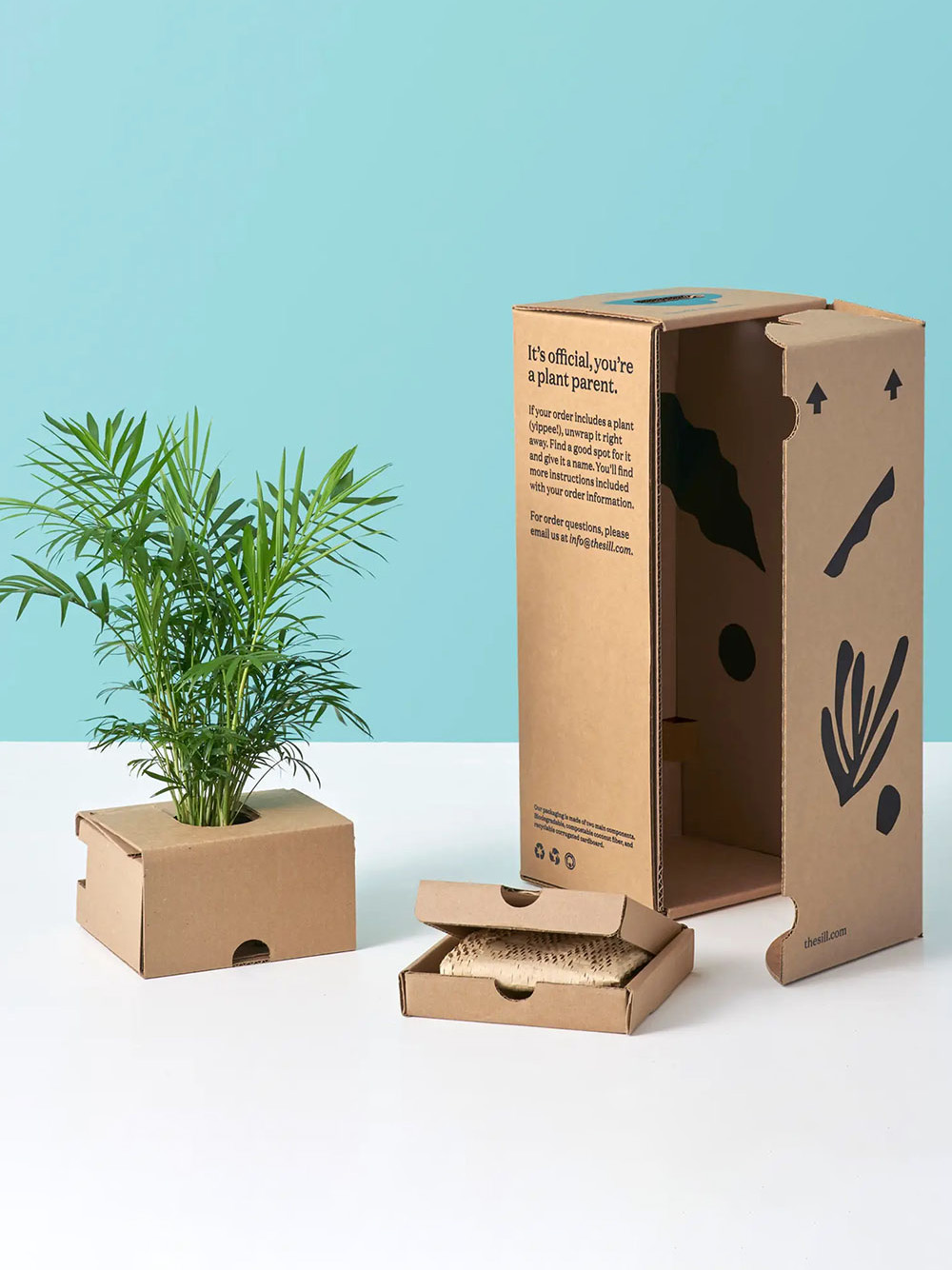 Green Boxes Cut Packaging Impact Without Cutting Corners on Strength