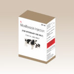 Custom Veterinary Medicine Boxes