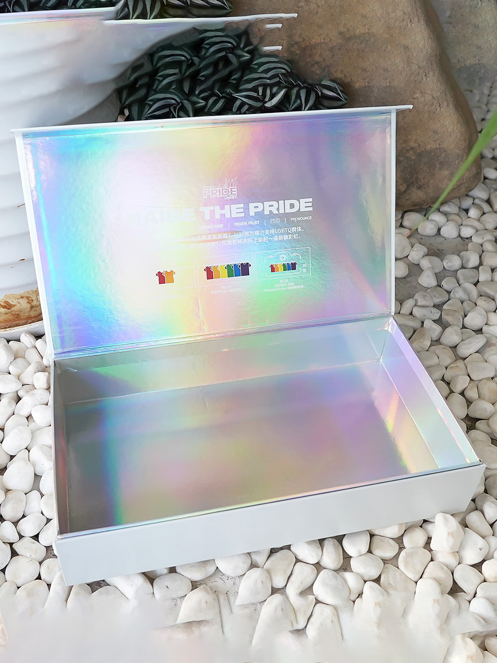 Holographic Rigid Boxes