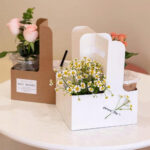 Flower Boxes