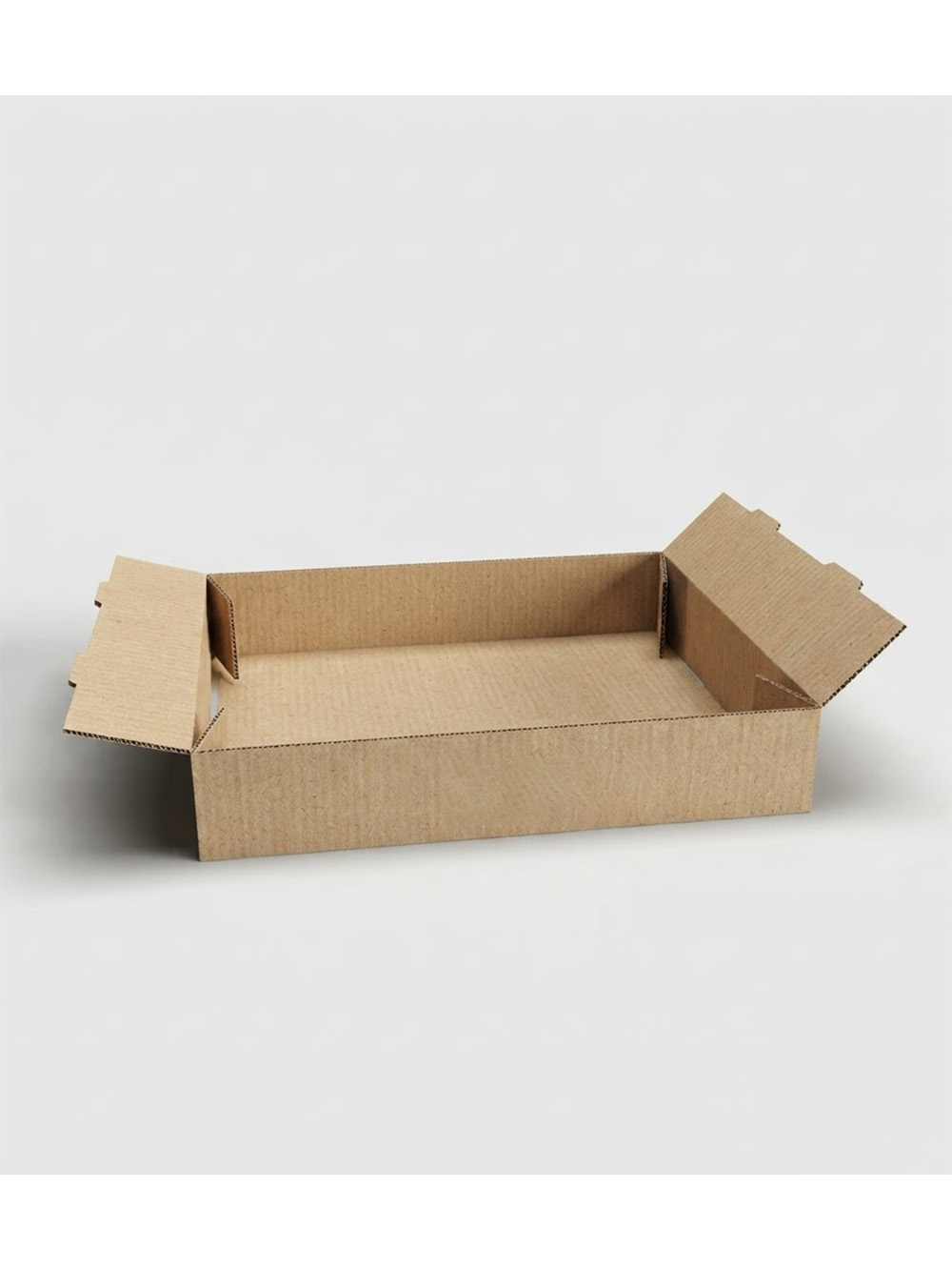 Foot Lock Tray Packaging