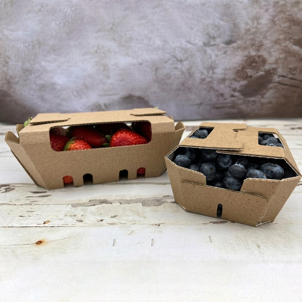 Fruit Punnets