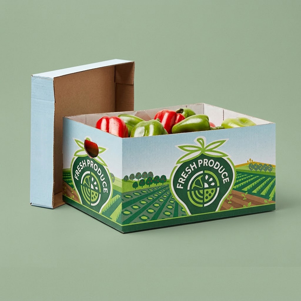 Hand-Erect Fruit & Vegetable Packaging